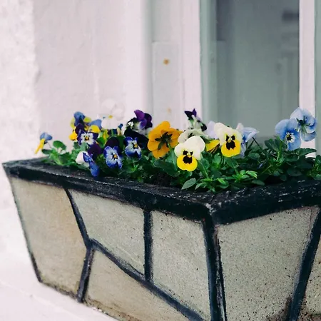 Beagh Σπίτι διακοπών